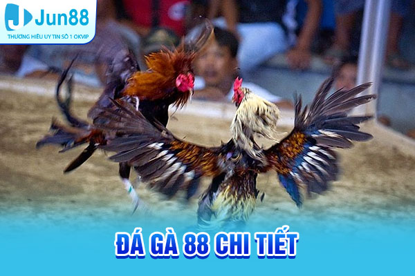 Đá Gà 88 chi tiết