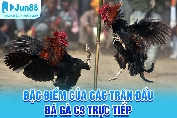 Đặc điểm của các trận đấu đá gà C3 trực tiếp