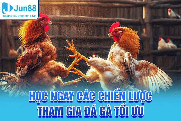 Học ngay các chiến lược tham gia đá gà tối ưu