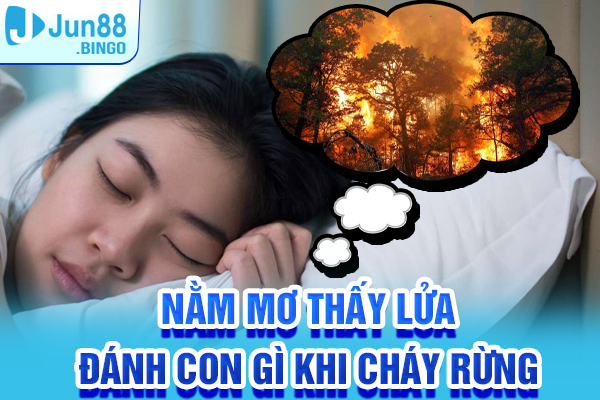 Nằm mơ thấy lửa đánh con gì khi cháy rừng