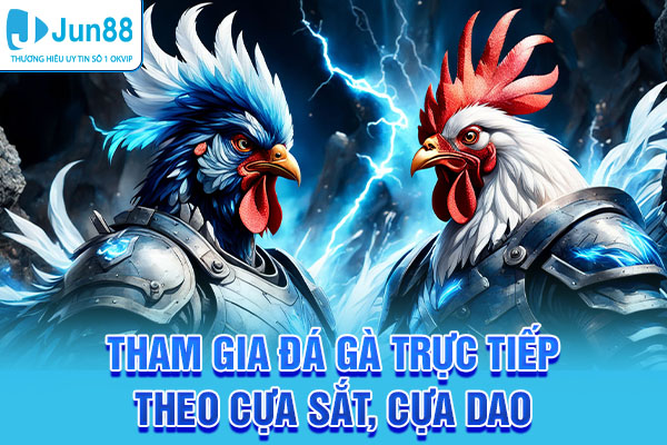 Tham gia đá gà trực tiếp theo cựa sắt, cựa dao