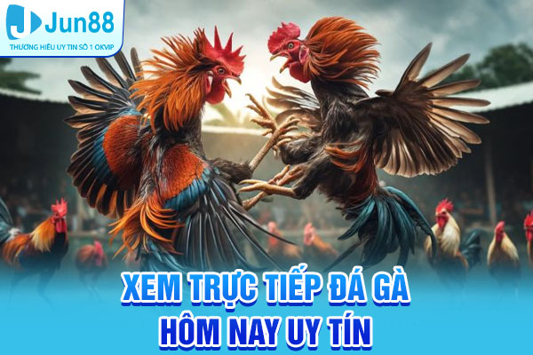 trực tiếp đá gà hôm nay