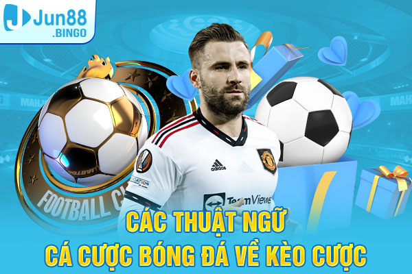 Các thuật ngữ cá cược bóng đá về kèo cược