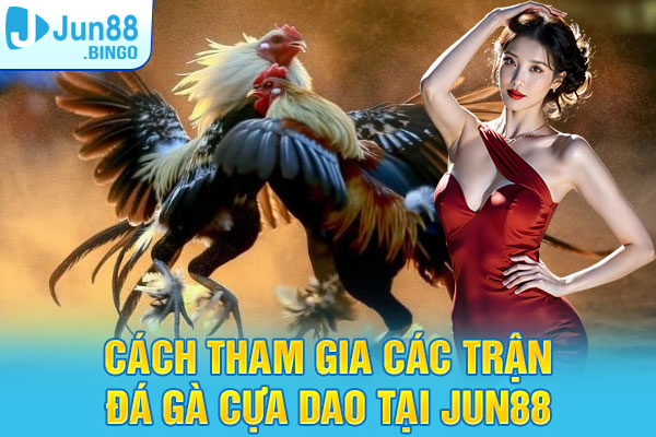 Cách tham gia các trận đá gà cựa dao tốt tại Jun88