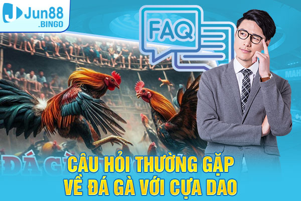 Giải đáp câu hỏi thường gặp về đá gà với cựa dao