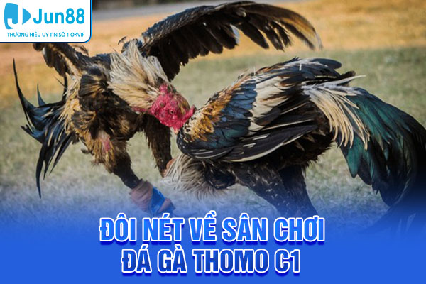 Đôi nét về sân chơi đá gà Thomo C1