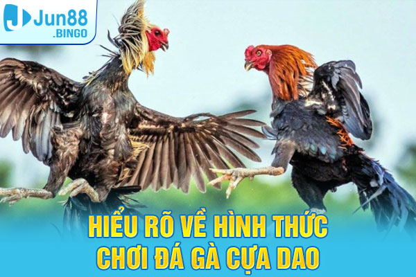 Hiểu rõ về hình thức chơi đá gà cựa dao