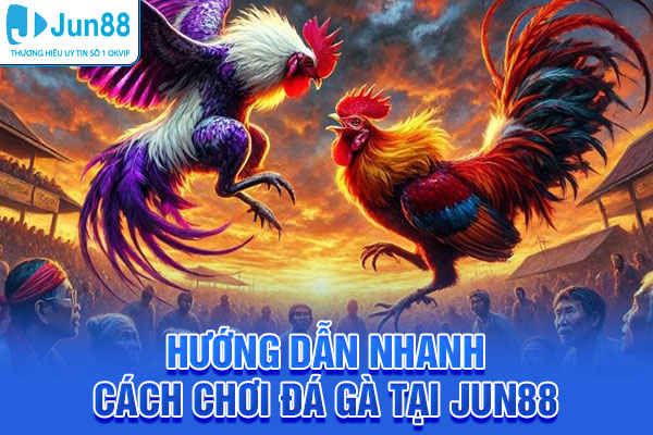 Hướng dẫn nhanh cách chơi đá gà tại Jun88