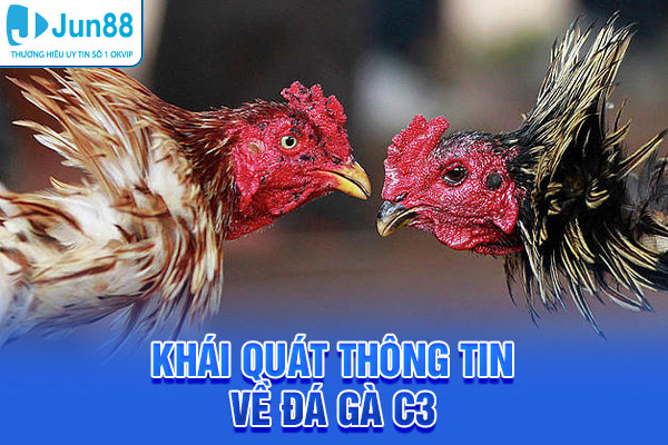 Khái quát thông tin về Đá gà C3