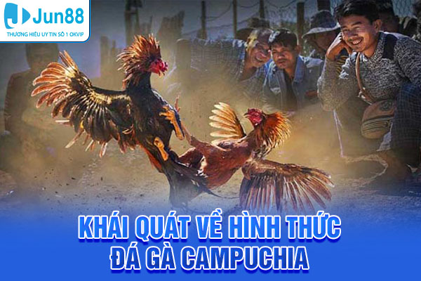 Khái quát cơ bản về hình thức đá gà Campuchia