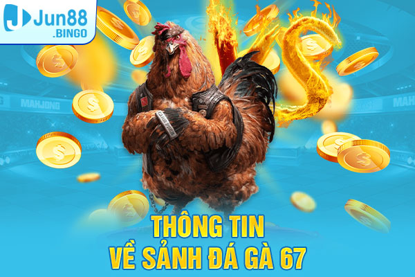 Giới thiệu các thông tin về sảnh Đá gà 67